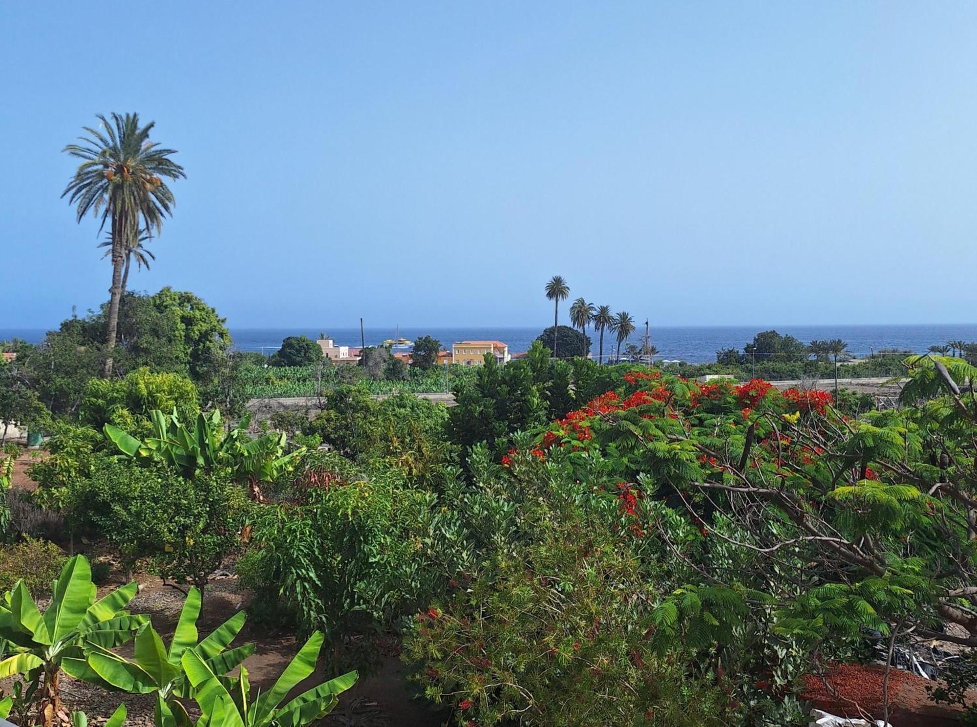 Apartamentos Bellavista Gomera Playa de Santiago  Eksteriør billede