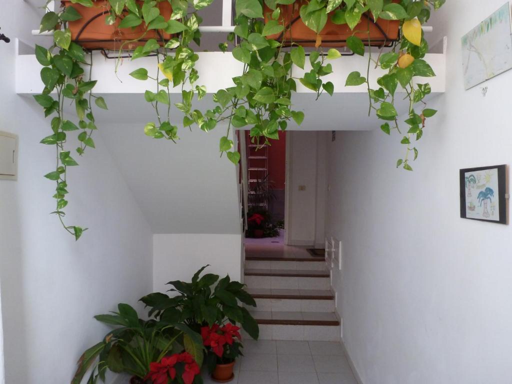Apartamentos Bellavista Gomera Playa de Santiago  Eksteriør billede